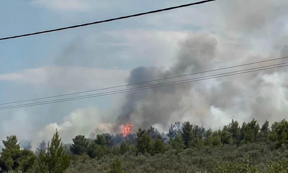 Η φωτιά στο Θεολόγο τέθηκε υπό έλεγχο